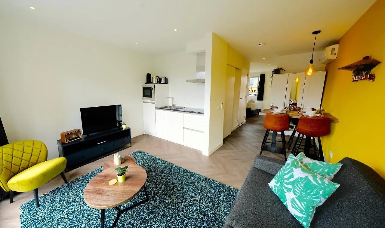 Sunny 45M2 Penthouse With Balcony And Terrace - R65C Apartman Eindhove 0*,